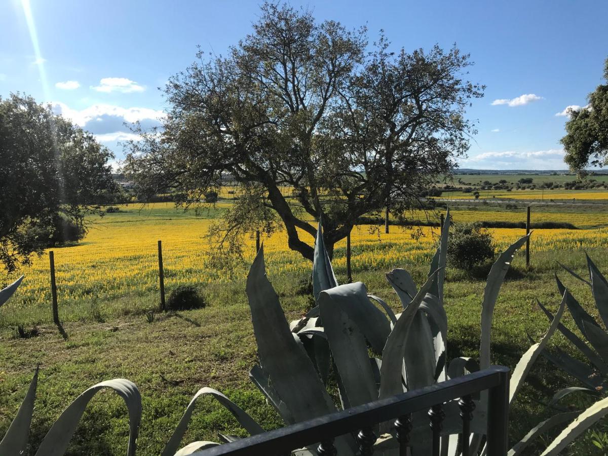Quinta da Colina Évora Exterior foto